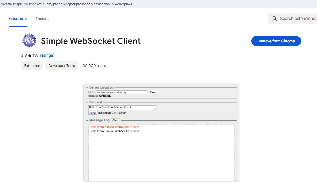 simple_websocket_client